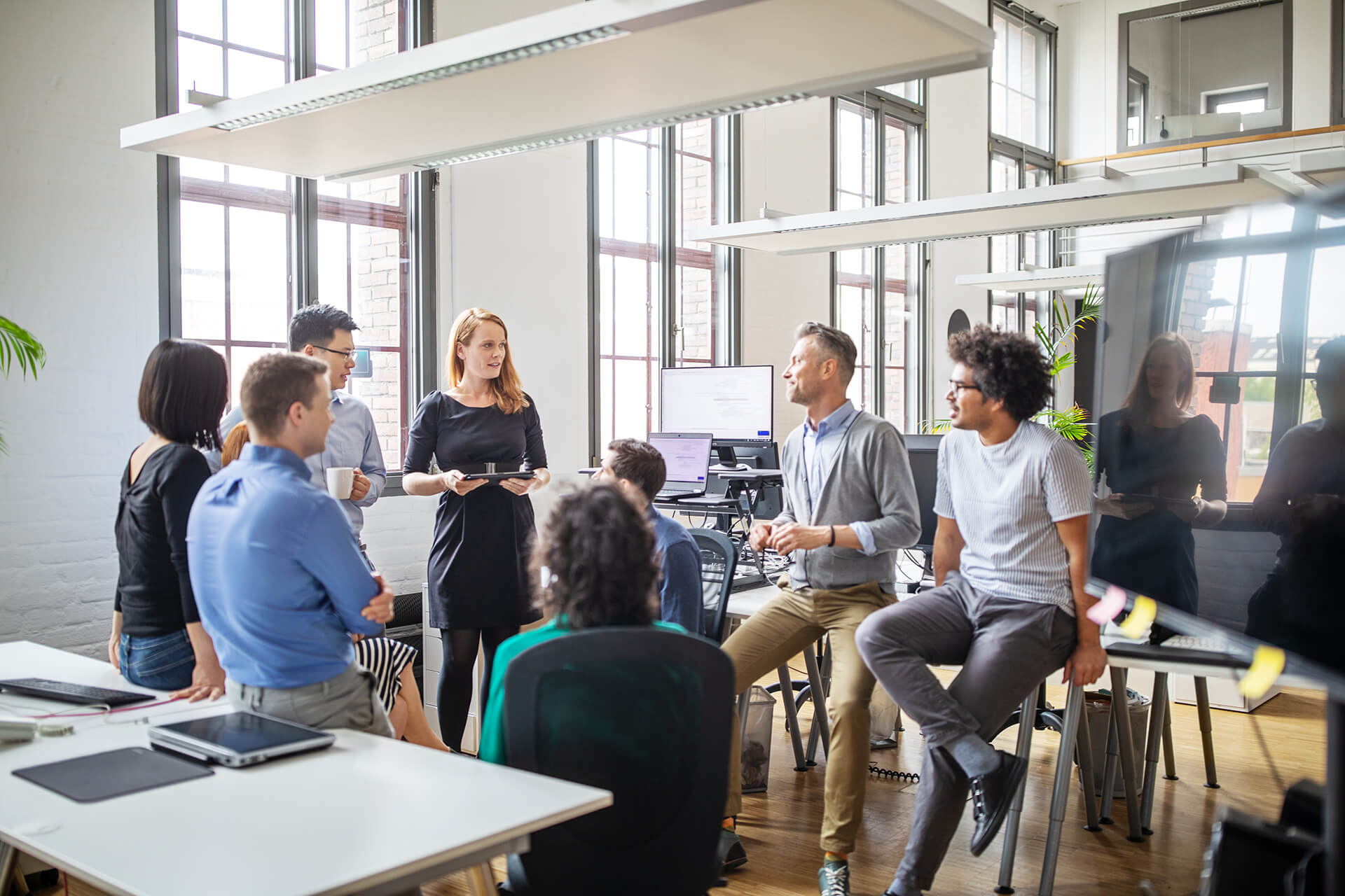 An amicable alliance between software houses