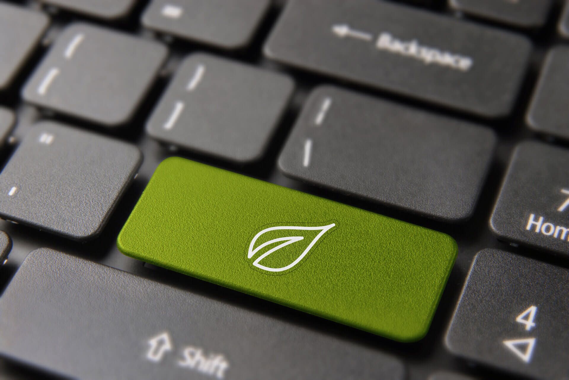 We have clarified our services and continue to build Cleantech solutions
