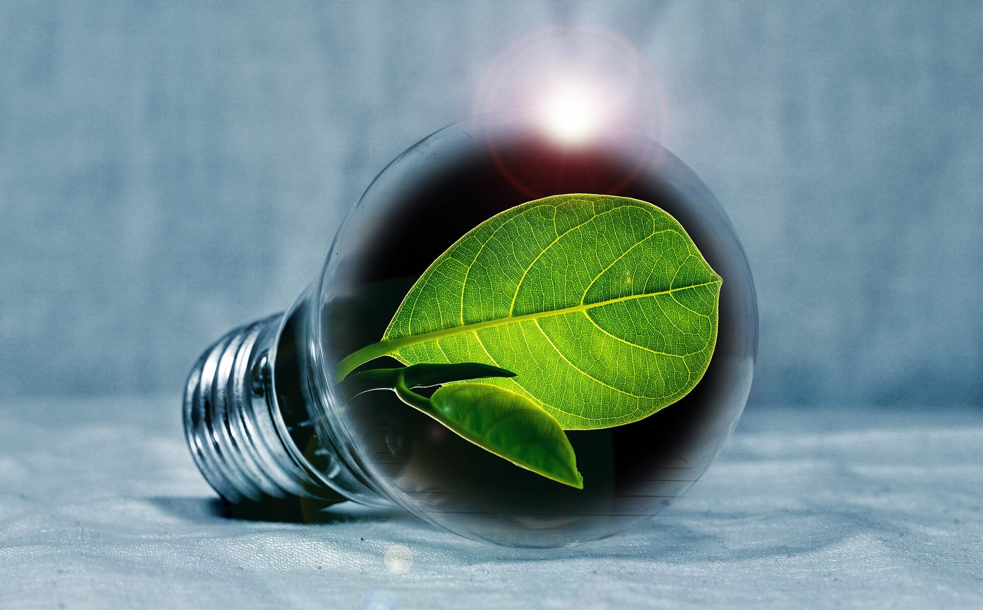 Puhtaissa ja energiatehokkaissa tuotteissa ja palveluissa kärkenä vastuullisuus ja entistä enemmän myös
		taloudelliset motiivit